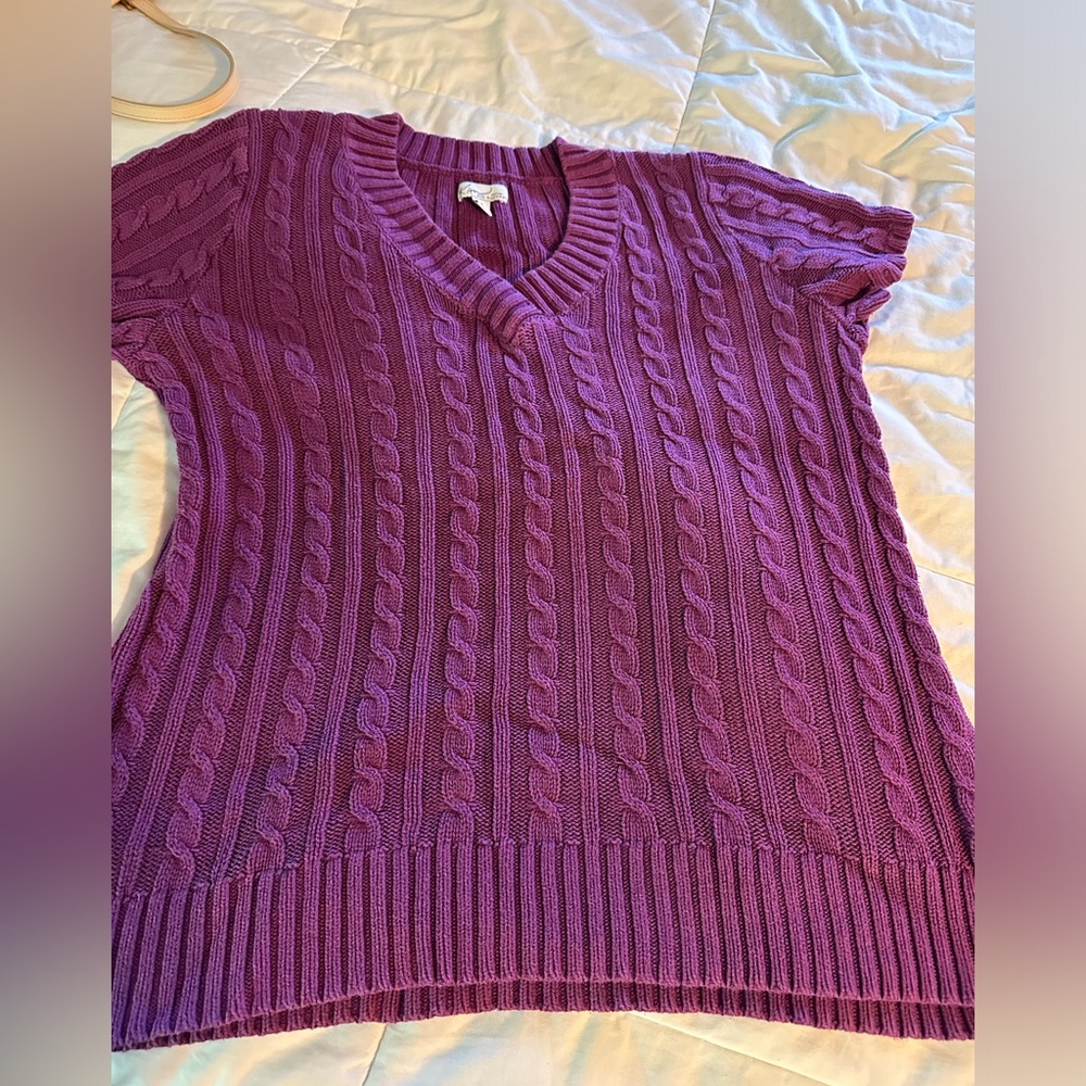 Plum Short Sleeve Sweater